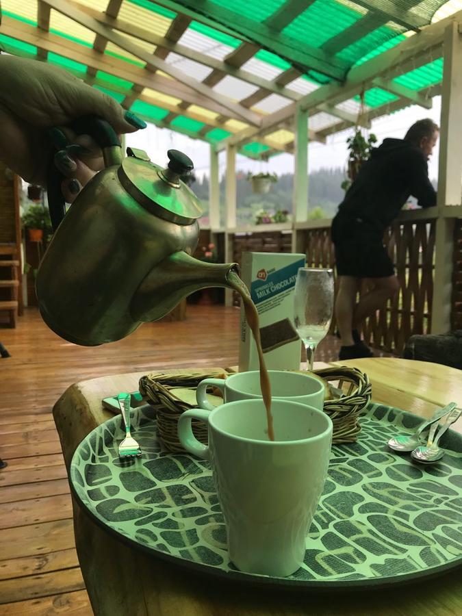 Karpats'Kyi Kalejdoskop Hotel Szlavszke Kültér fotó